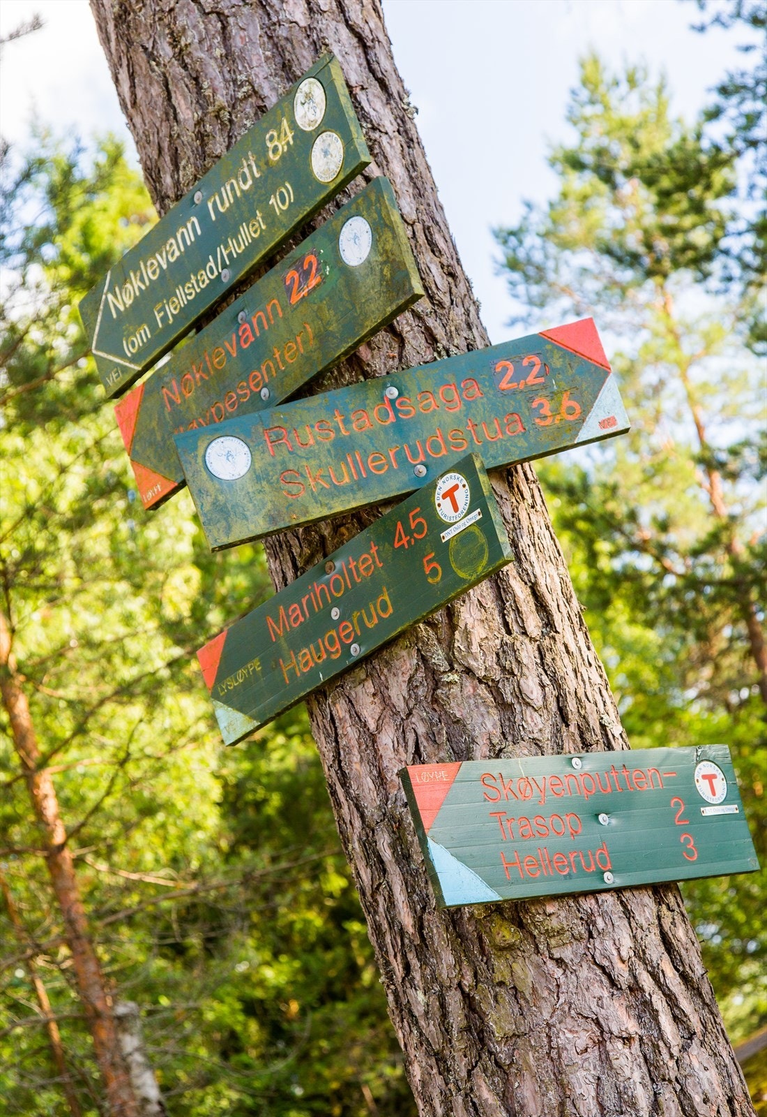 Boligen ligger i umiddelbar nærhet til Østmarka med flotte friluftsområder, noe som gir gode turmuligheter både sommer og vinter. Galleribilde