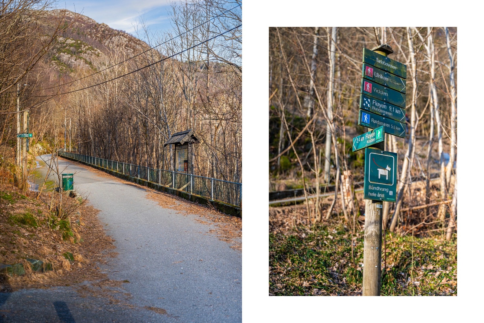 Her bor du rett ved populære stiområder som tar deg opp til Fløien eller Rundemanen. Galleribilde
