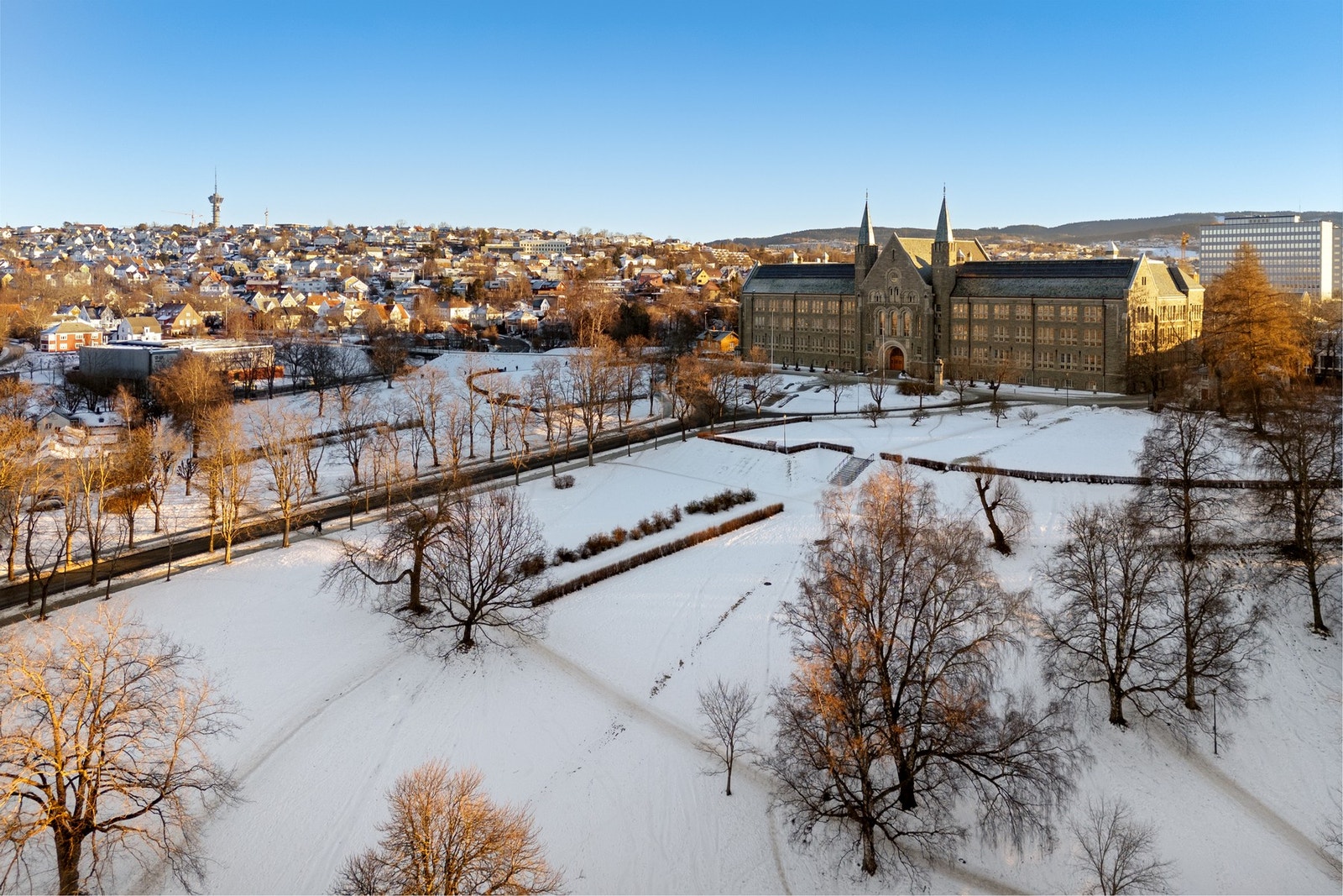 Gløshaugen er en av byens flotteste områder, med flere flotte parkareal som er svært populær på godværsdager. NTNU Handelshøyskolen ligger også i umiddelbar nærhet. Galleribilde