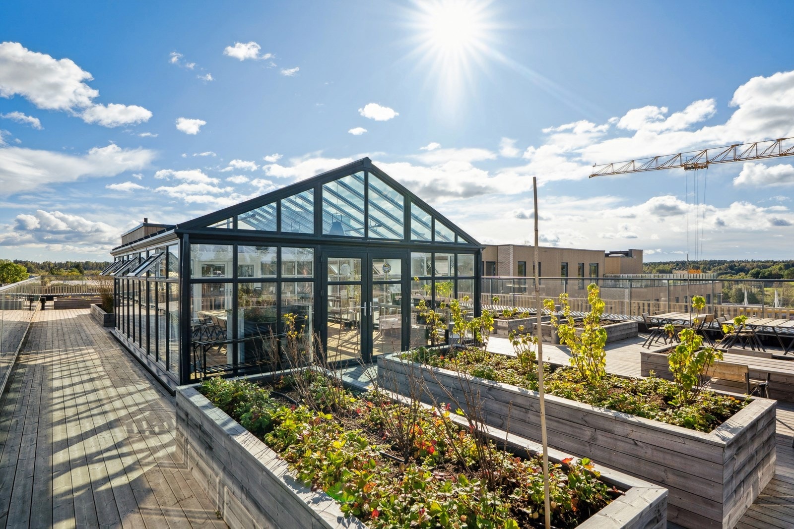 De grønne fellesområdene, både på takene og i gårsrommet fungerer som sosiale knutepunkt for naboene. Galleribilde