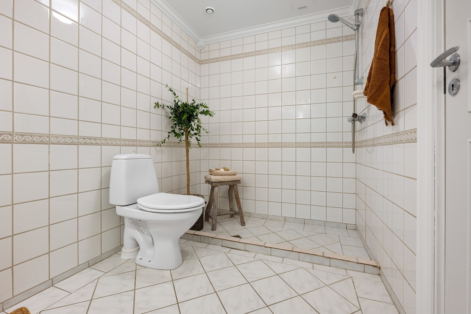 Toalett, baderomsinnredning med servant og dusj Galleribilde