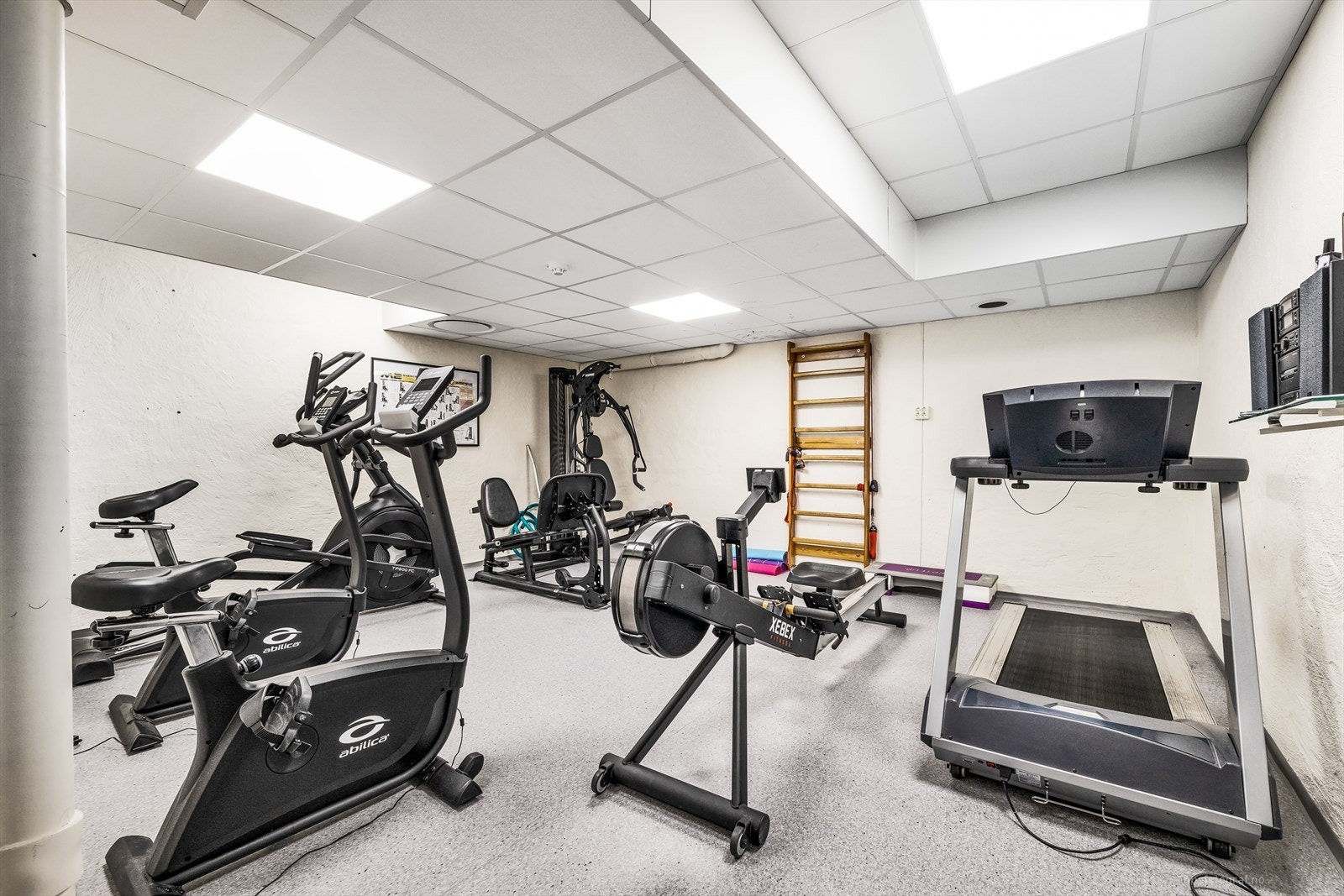 Felles trimrom Galleribilde