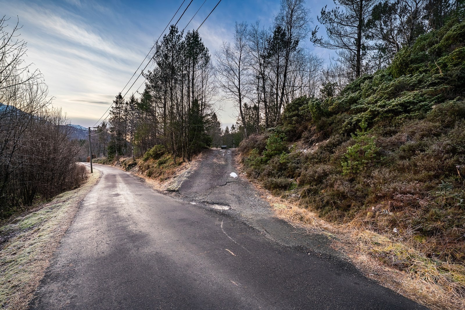 Innkjørsel til tomten Galleribilde