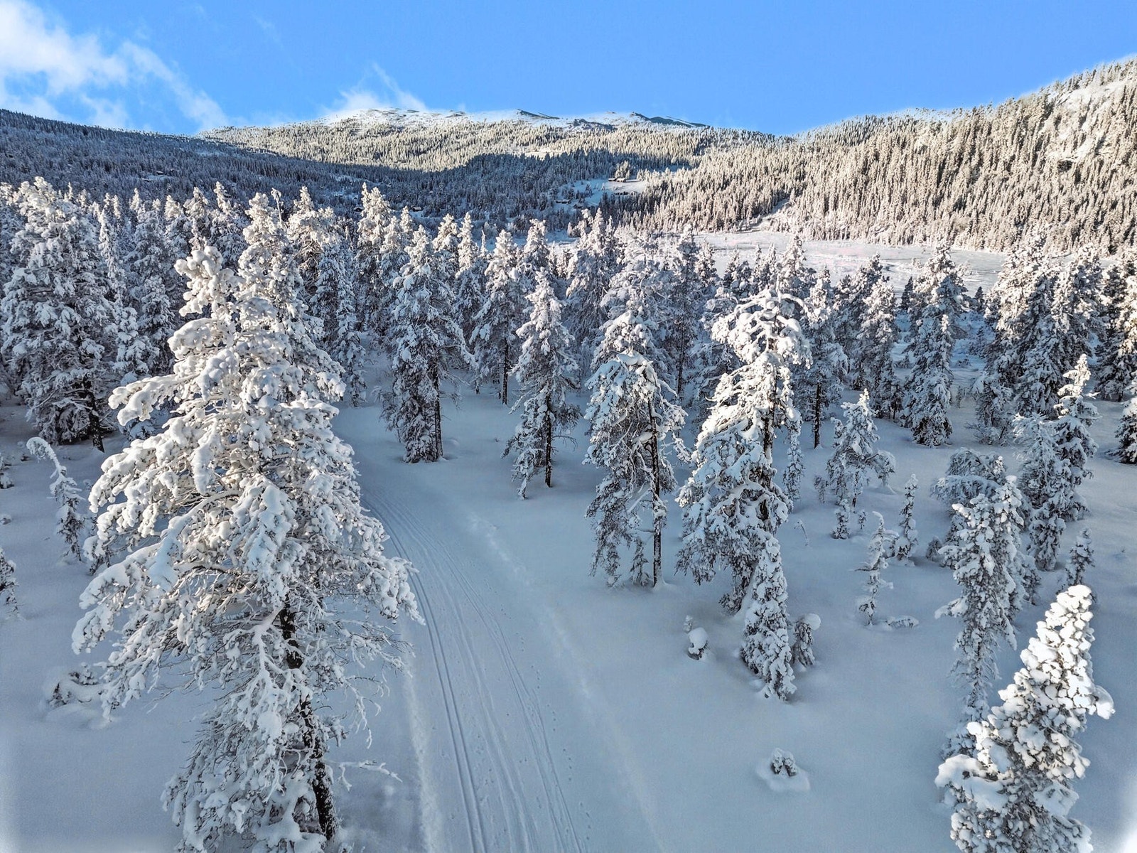 Fra hytta kan du spenne på deg skiene å gå inn i et flott løypenett i fjellet. Galleribilde