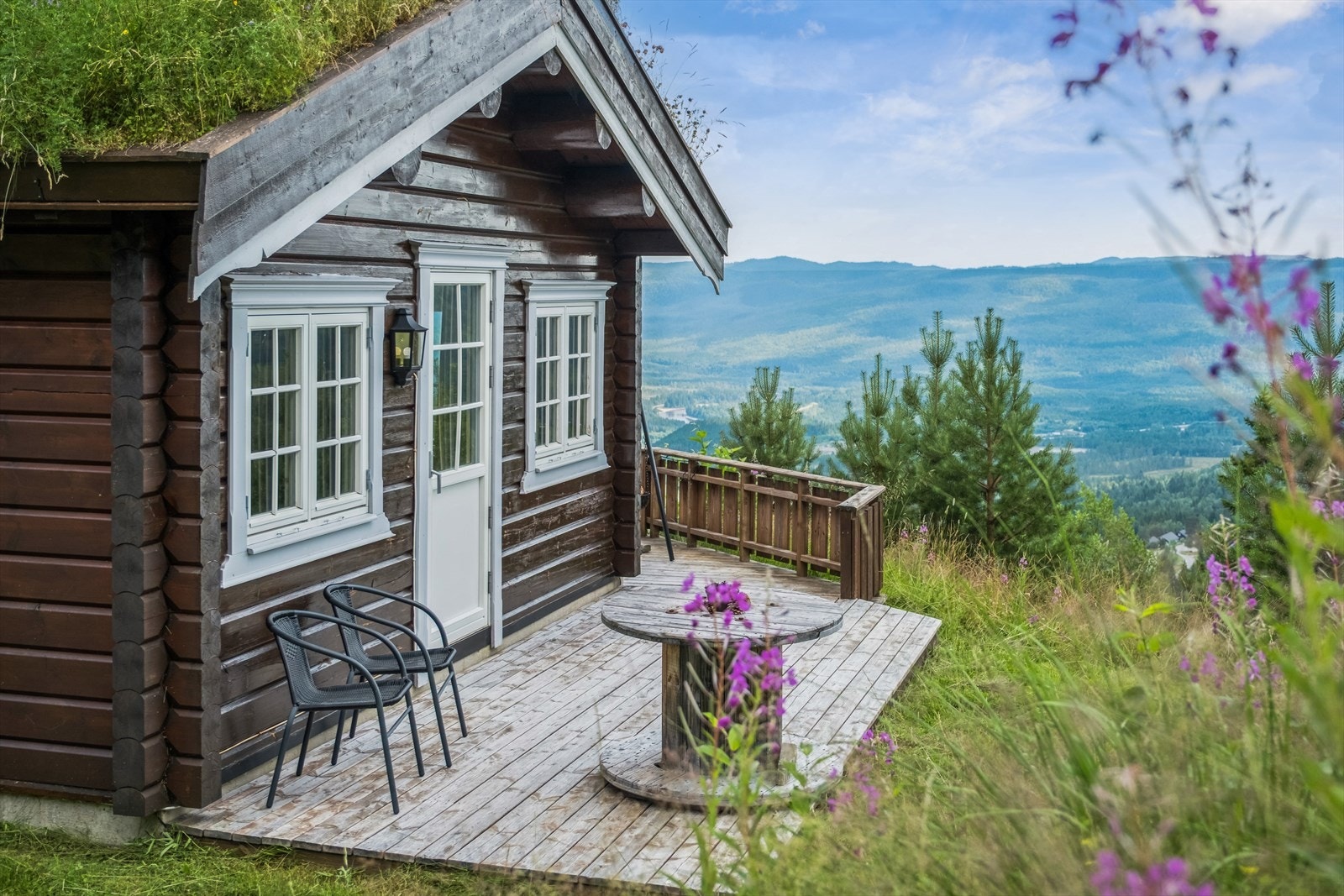 Uteområde rundt hytta består for det meste av naturtomt. Galleribilde