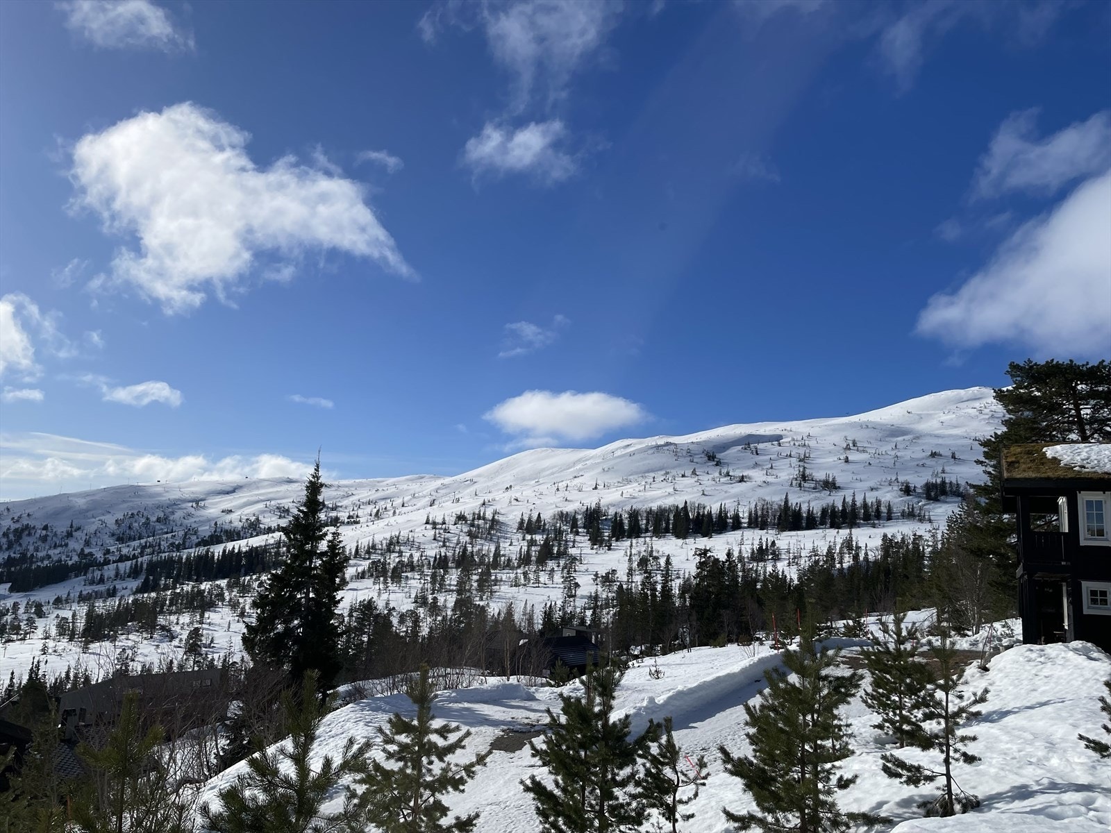 Flott utsikt mot skianlegg (Privat bilde) Galleribilde