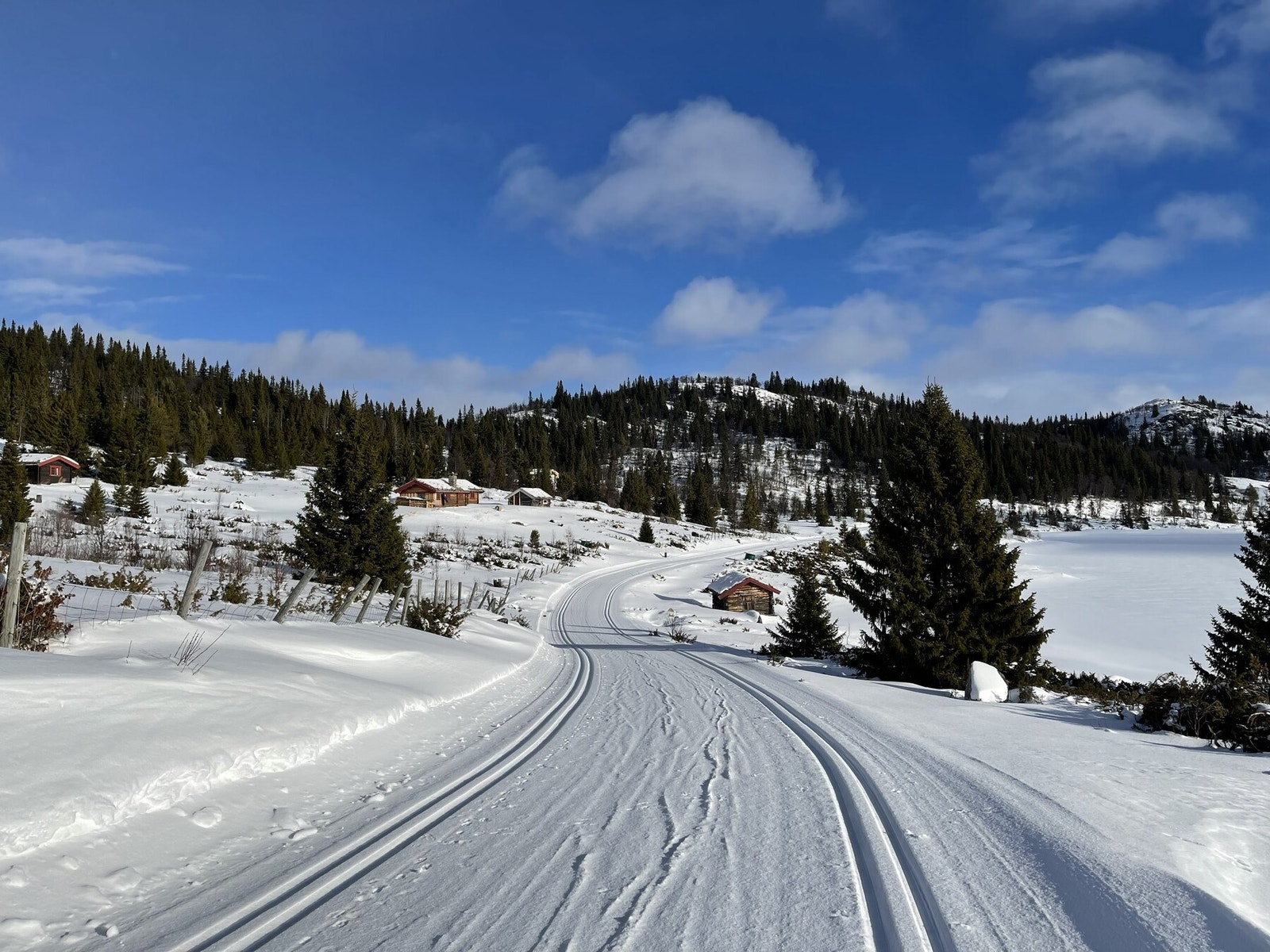 Selgers bilde Galleribilde