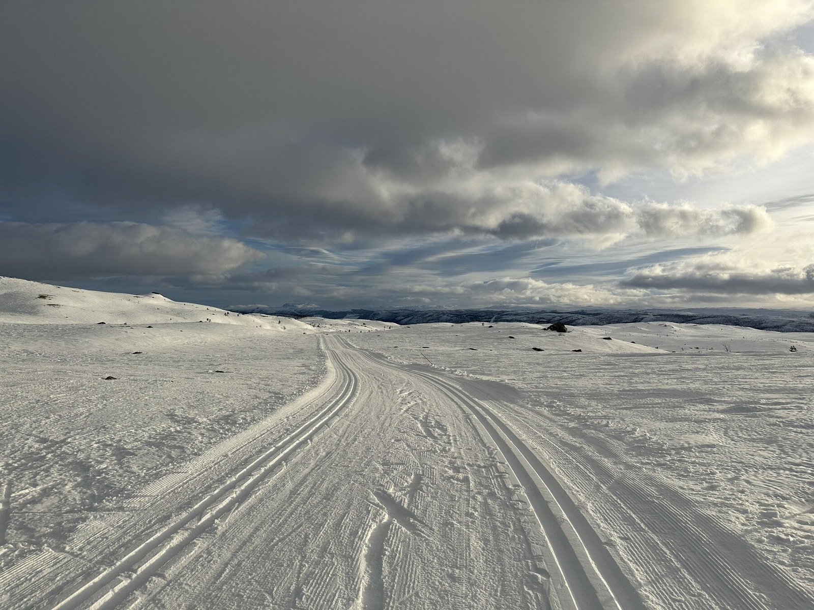 Selgers bilde Galleribilde