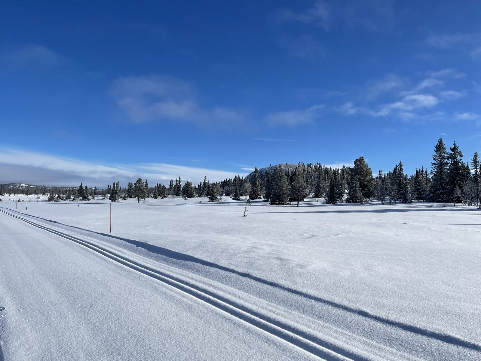 Selgers bilde Galleribilde