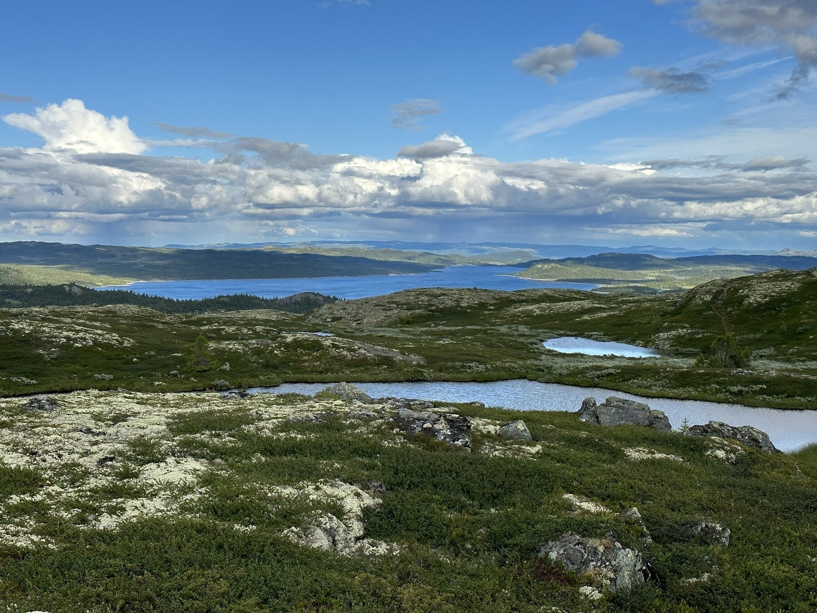 Selgers bilde Galleribilde