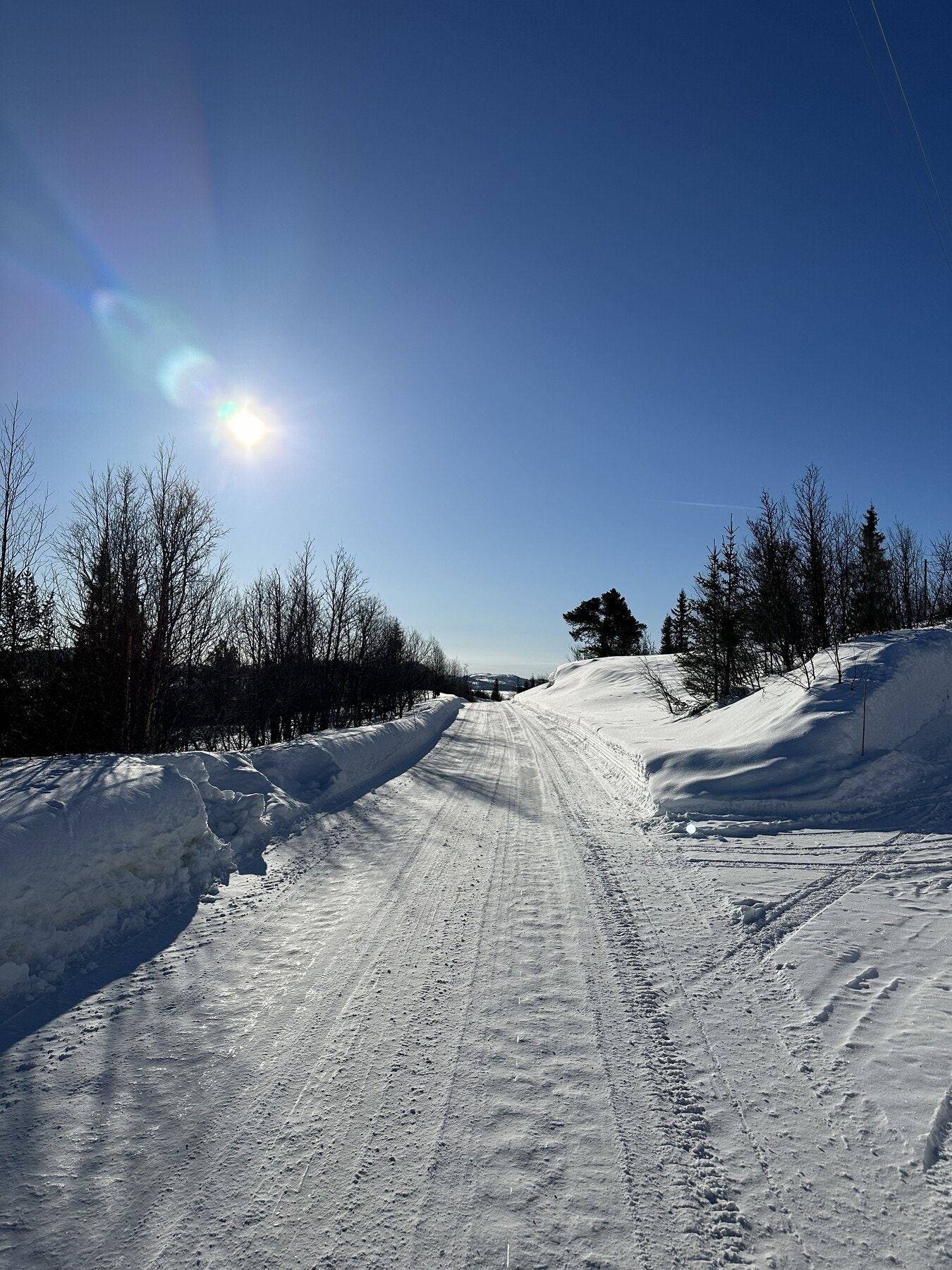 Selgers bilde Galleribilde