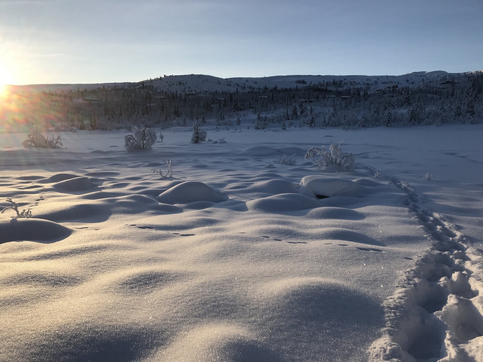 Selgers bilde Galleribilde