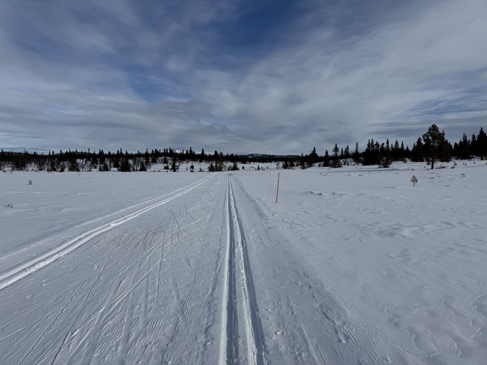 Selgers bilde Galleribilde