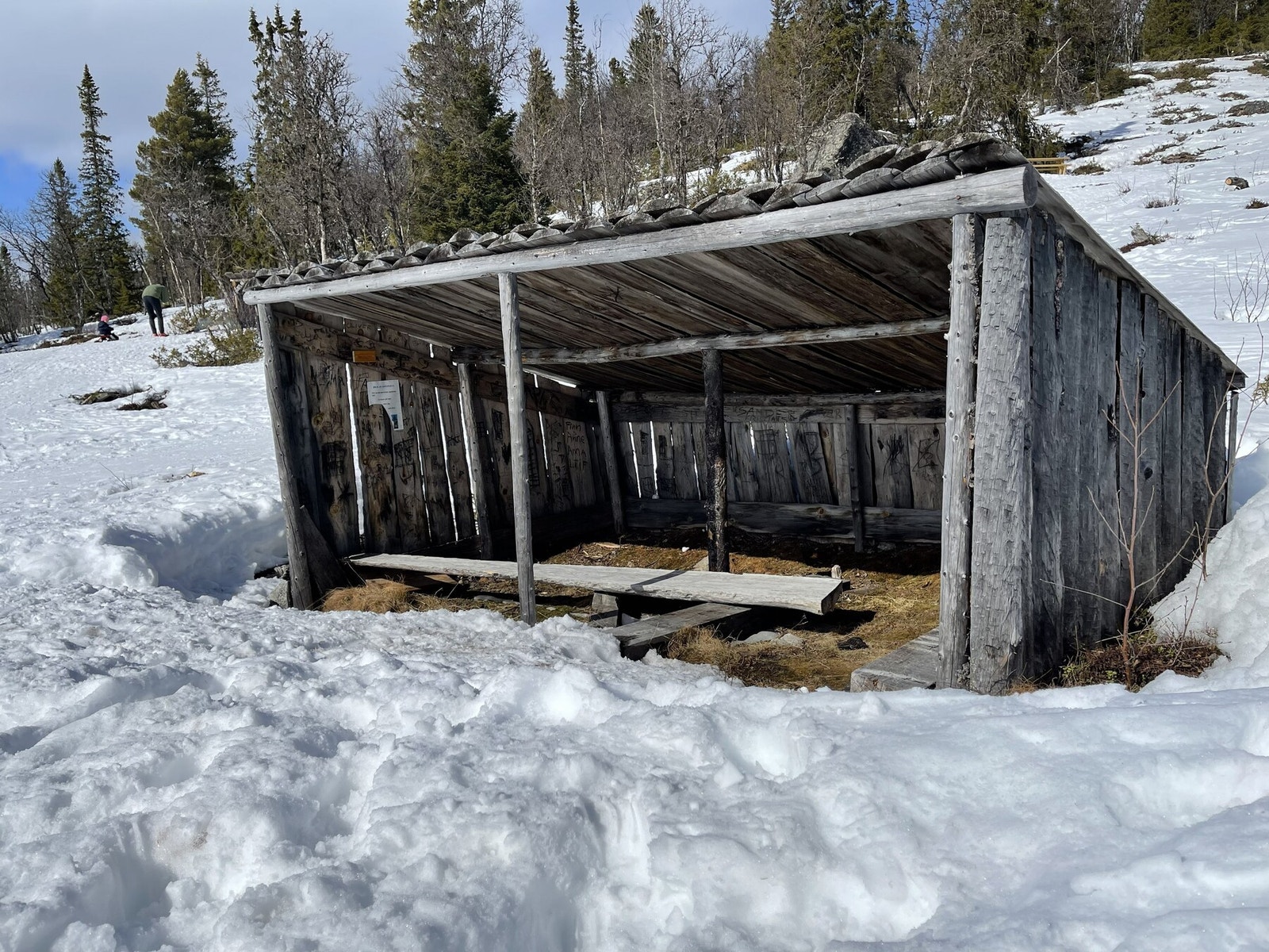 Selgers bilde Galleribilde