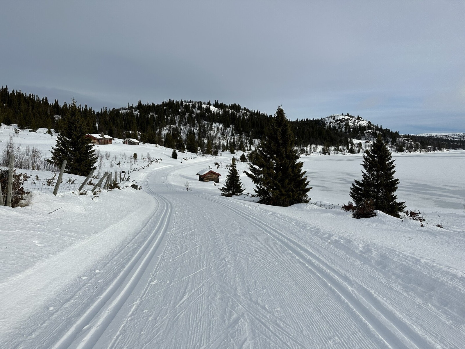 Selgers bilde Galleribilde