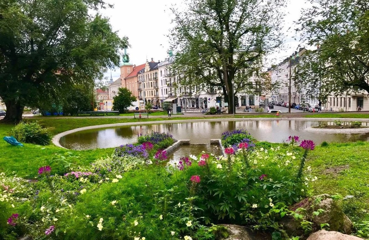 Selgers private bilde. Galleribilde