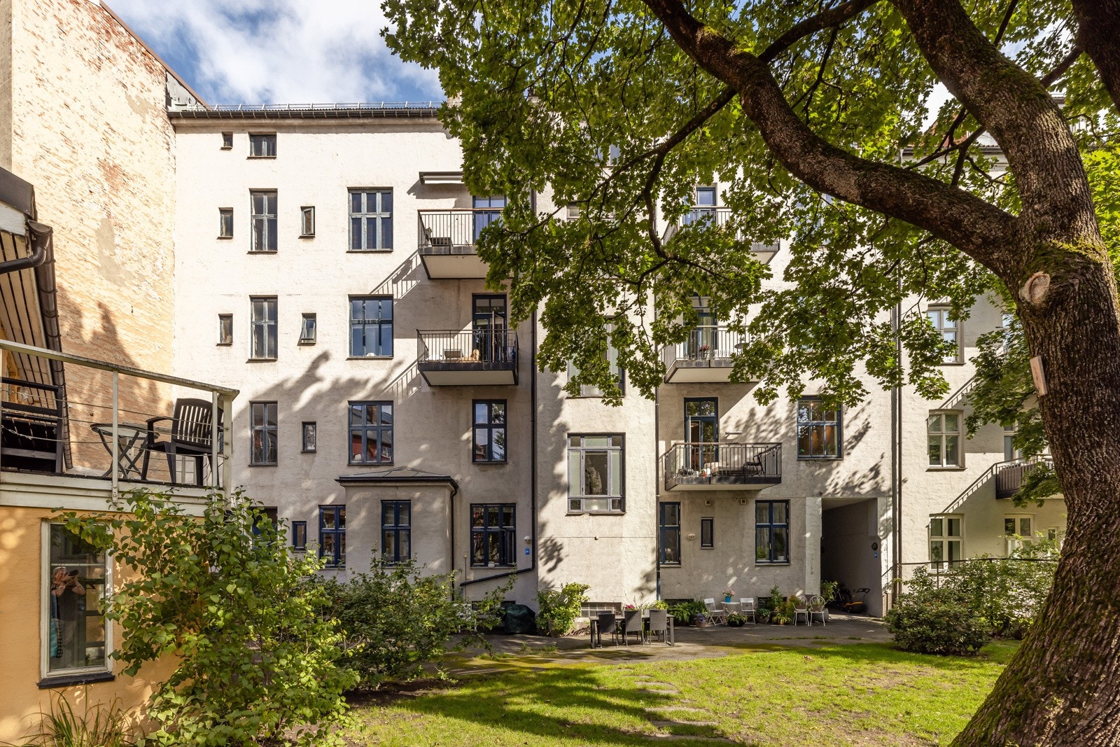 Felles hage opparbeidet med blant annet asfalterte gangarealer, plenareal, prydbusker, epletre og diverse beplantninger. Galleribilde