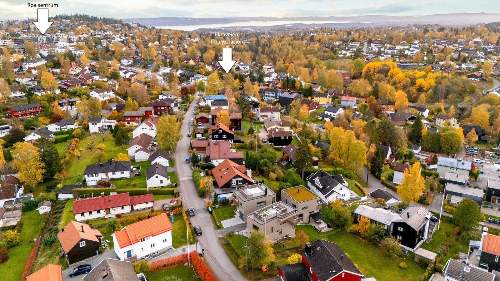 Nærområdet Galleribilde