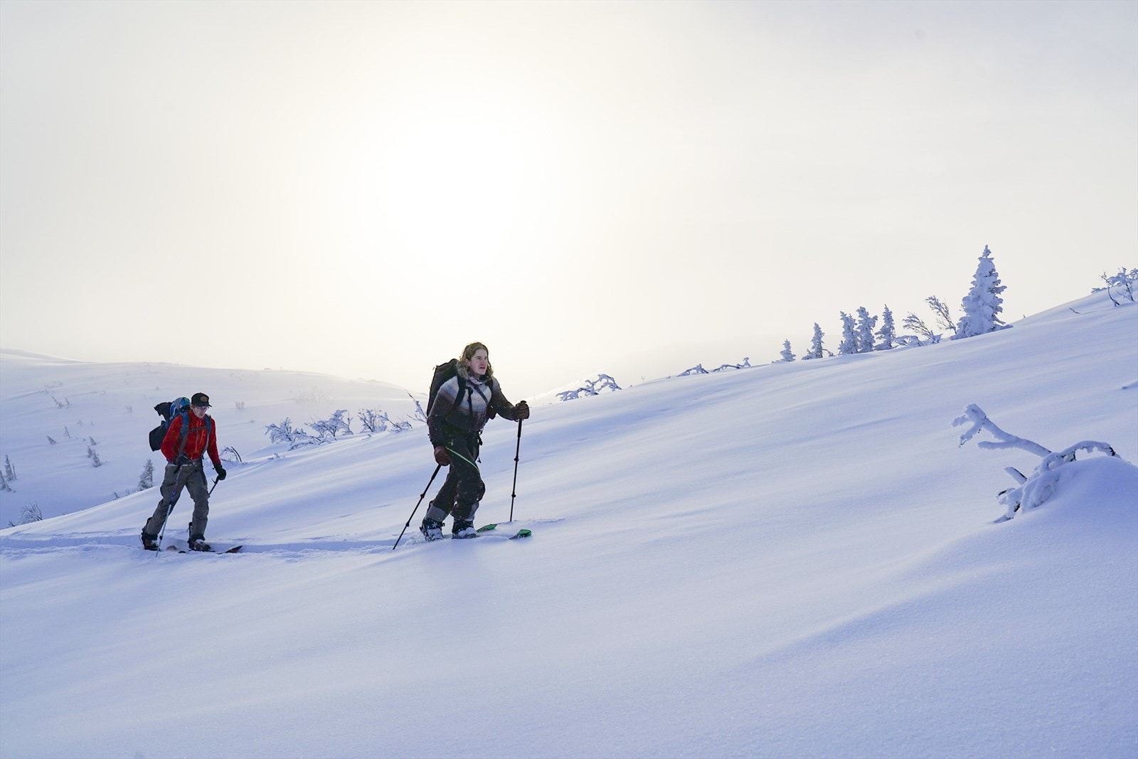Høgevarde byr på muligheter for fine toppturer med runs både tilbake til hyttefeltene men også nedover mot dalen Galleribilde