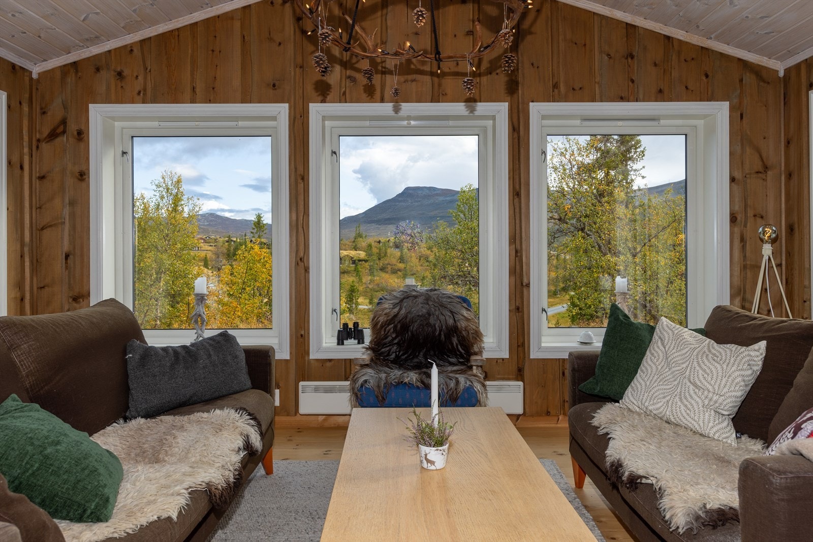 Store vinduer som rammer inn naturen, med Høgevardetoppen som et vakkert blikkfang Galleribilde