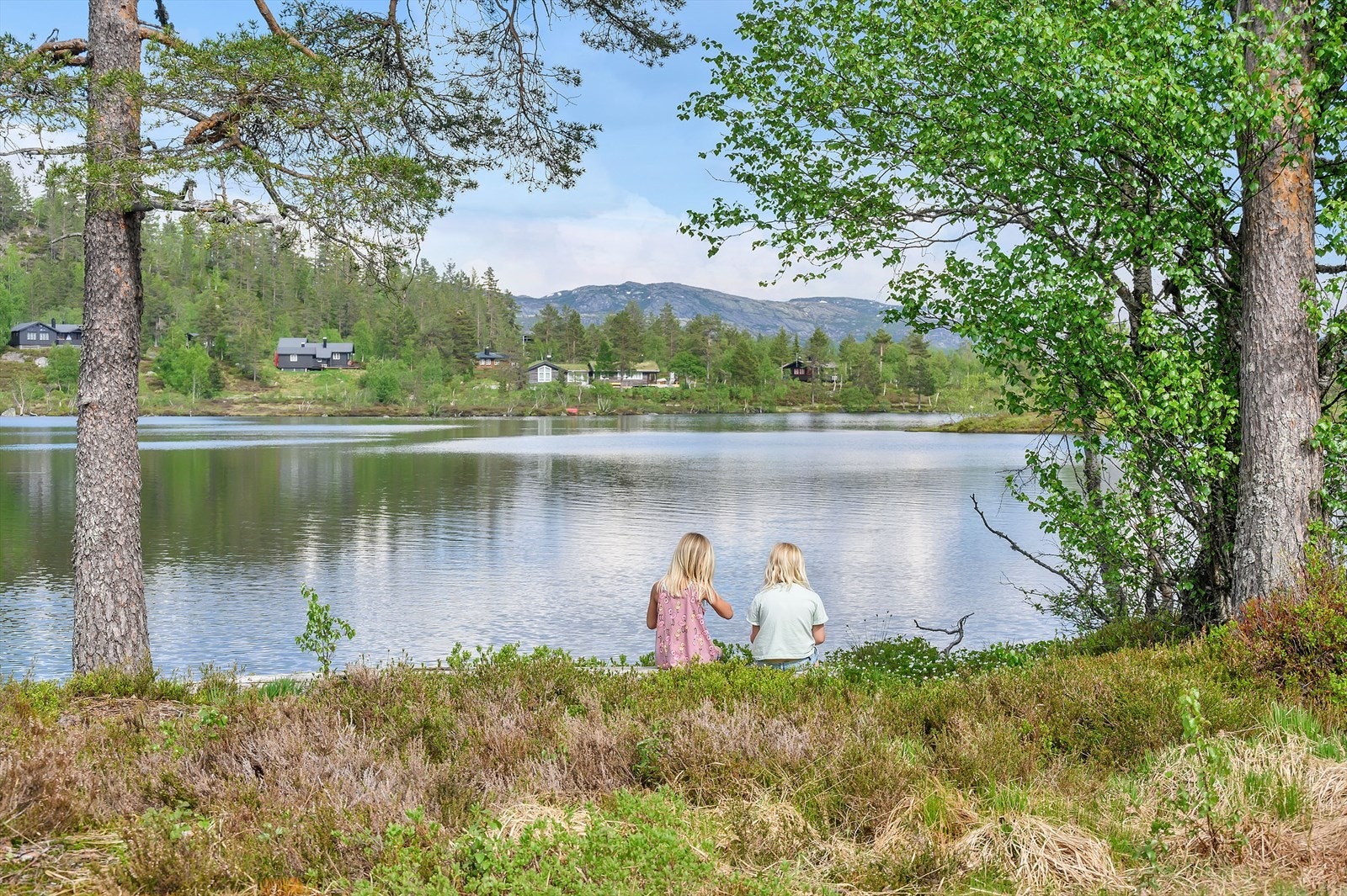 Bortelid hytteområde - rolig fjellidyll med flotte turmuligheter og ekte sørlandsstemning, året rundt Galleribilde