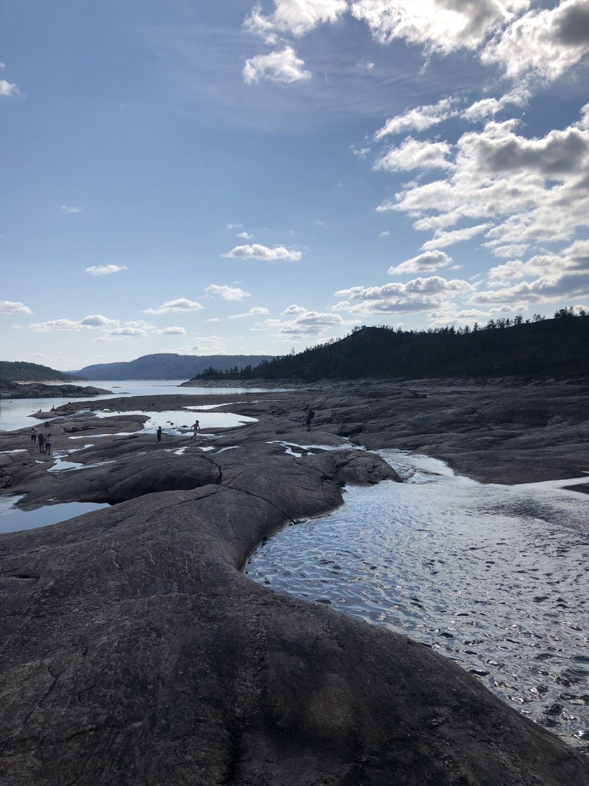 Mange fine badekulper i Murtebekken som går fra sentrum og sørover ned til Murtetjønn Galleribilde