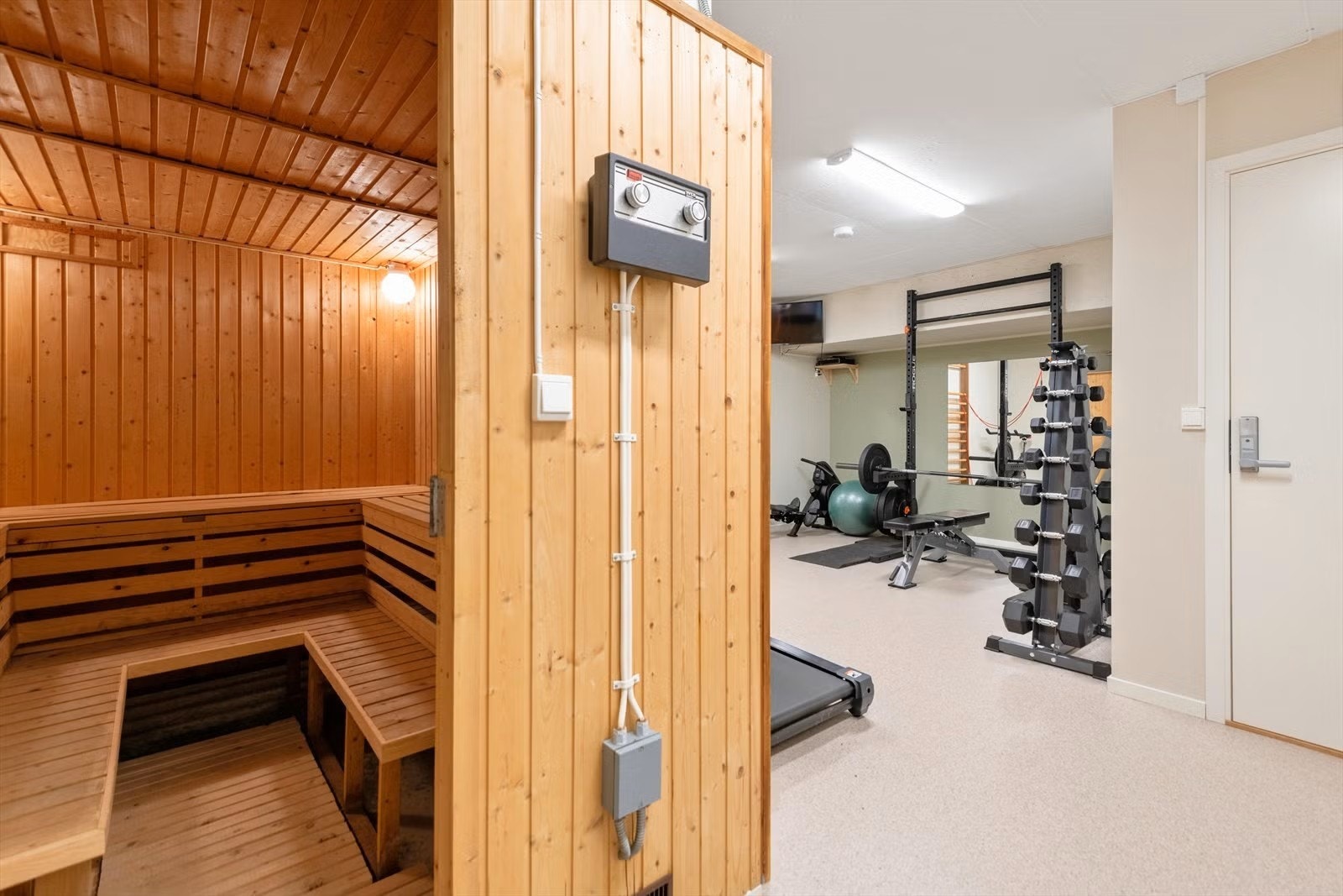 Felles trimrom med badstue Galleribilde