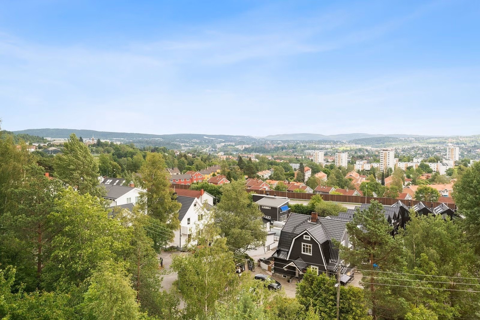 Utsikt om sommeren Galleribilde