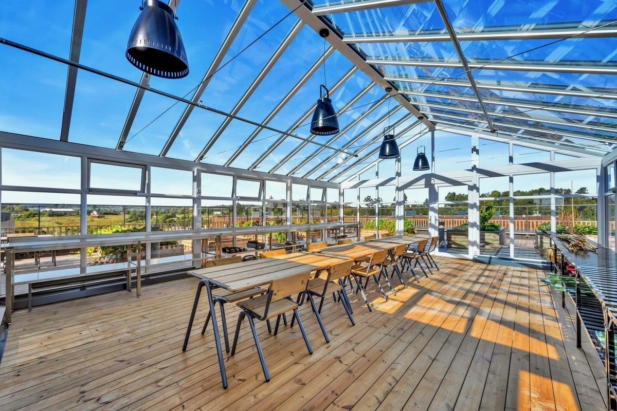 Felles på taket Galleribilde