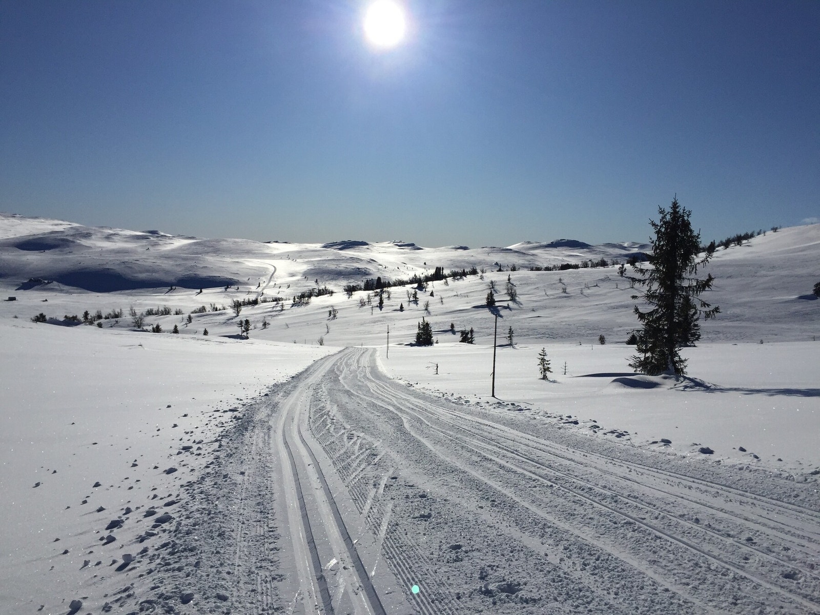 Vinter - et fantastisk skiløypenett - 50 meter fra hytta. (foto: Selger.) Galleribilde