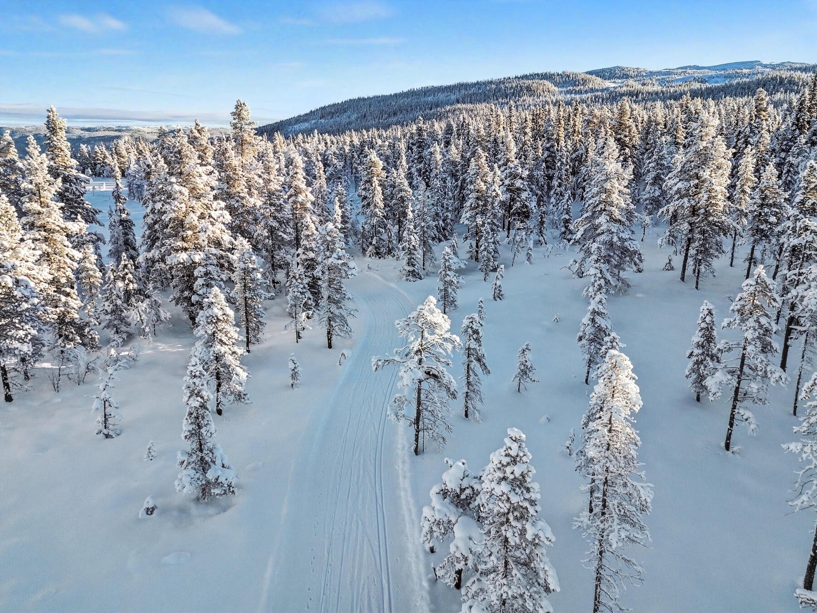 Hytta ligger på ca. 835 moh og nærmeste langrennsløype starter ca. 50 meter fra hytteveggen. Galleribilde