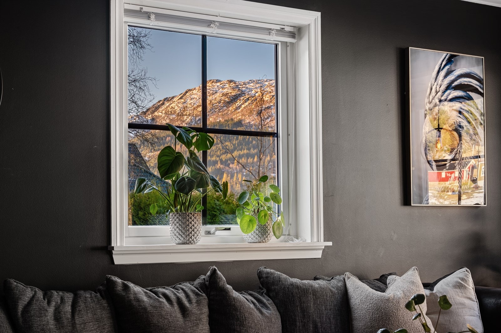 - Fra late sofadager kan du la blikket hvile på nydelige fjell - Galleribilde