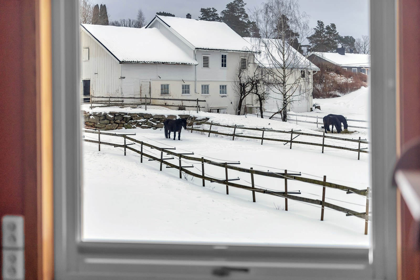 Utsikt fra soverom 3. Galleribilde