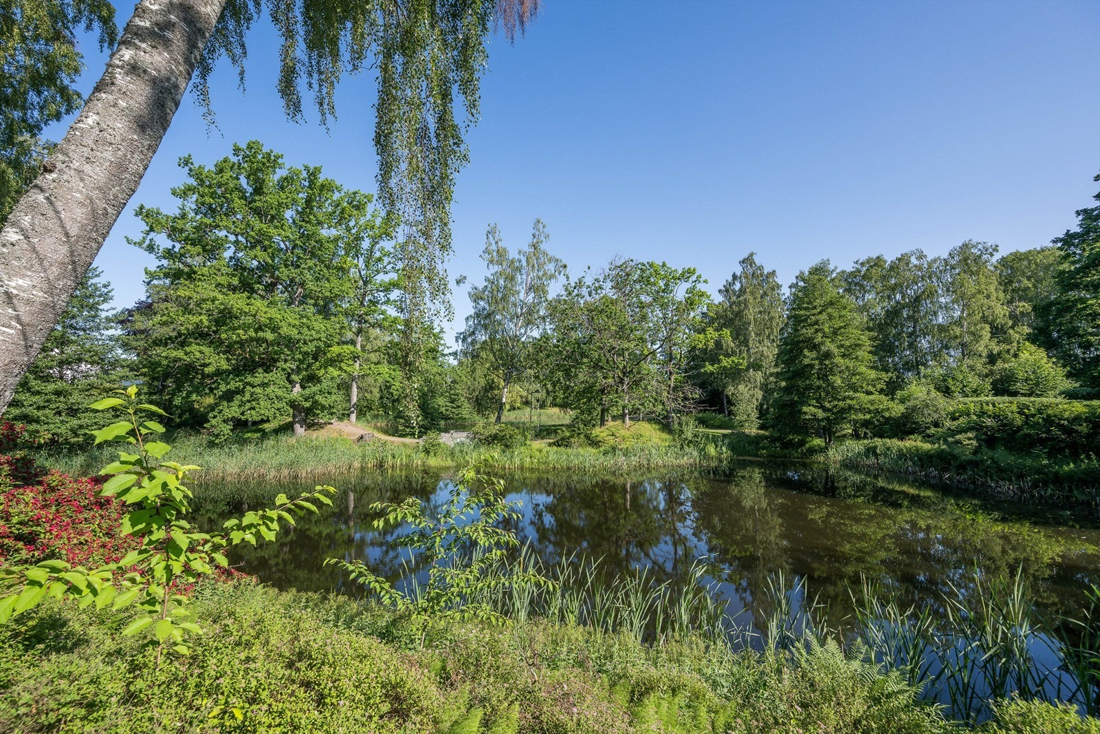 Rosanesparken Galleribilde