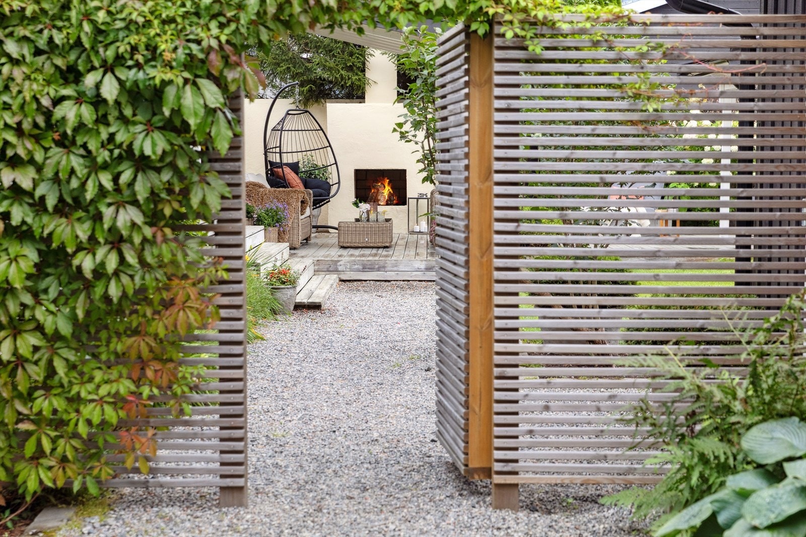 Velkommen inn i bakgården. Galleribilde