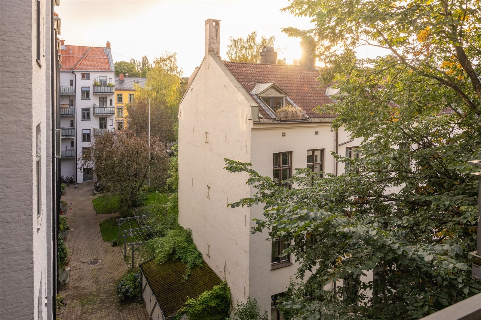 Det er tillatt med kjæledyr i borettslaget. Galleribilde