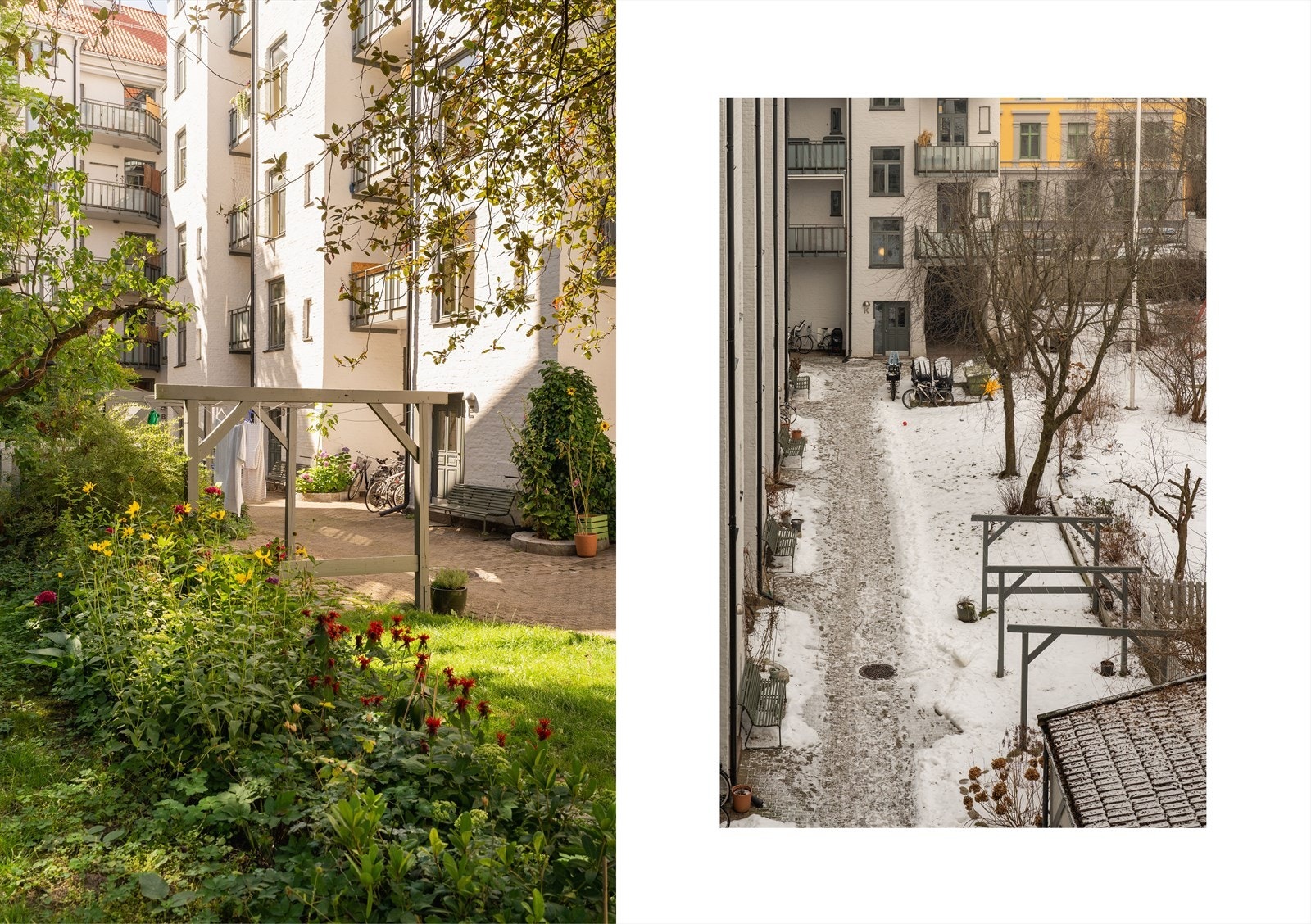 Gårdsrommet er en frodig oase midt i byen. Galleribilde