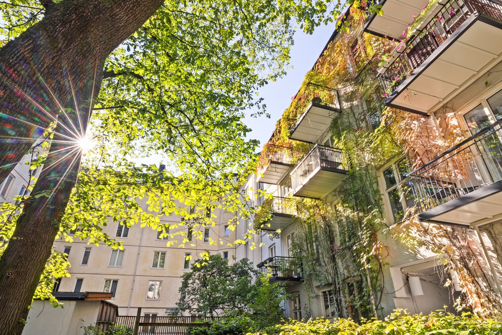 Fasade bakside - I hyggelig bakgård er det frodig beplantning, sittegrupper, grønnsakshager og felles sykkelparkering Galleribilde