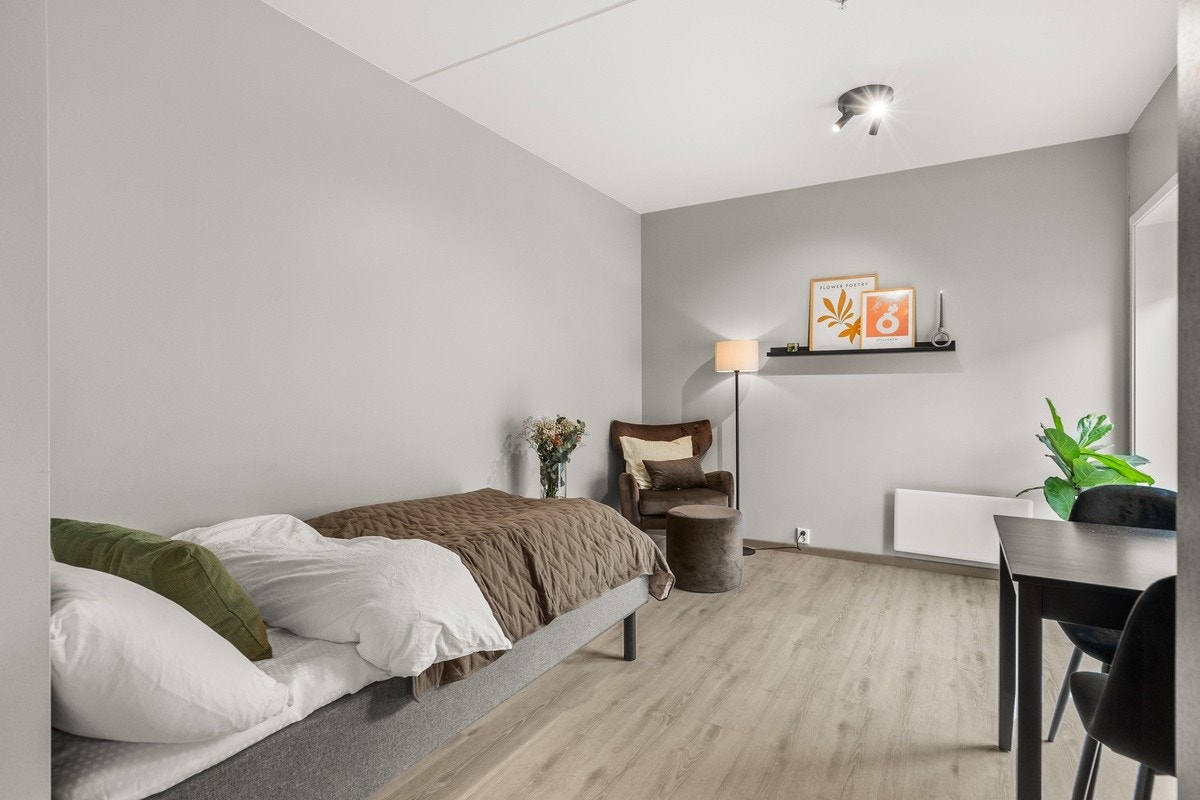 Velkommen til populære studinen. Galleribilde