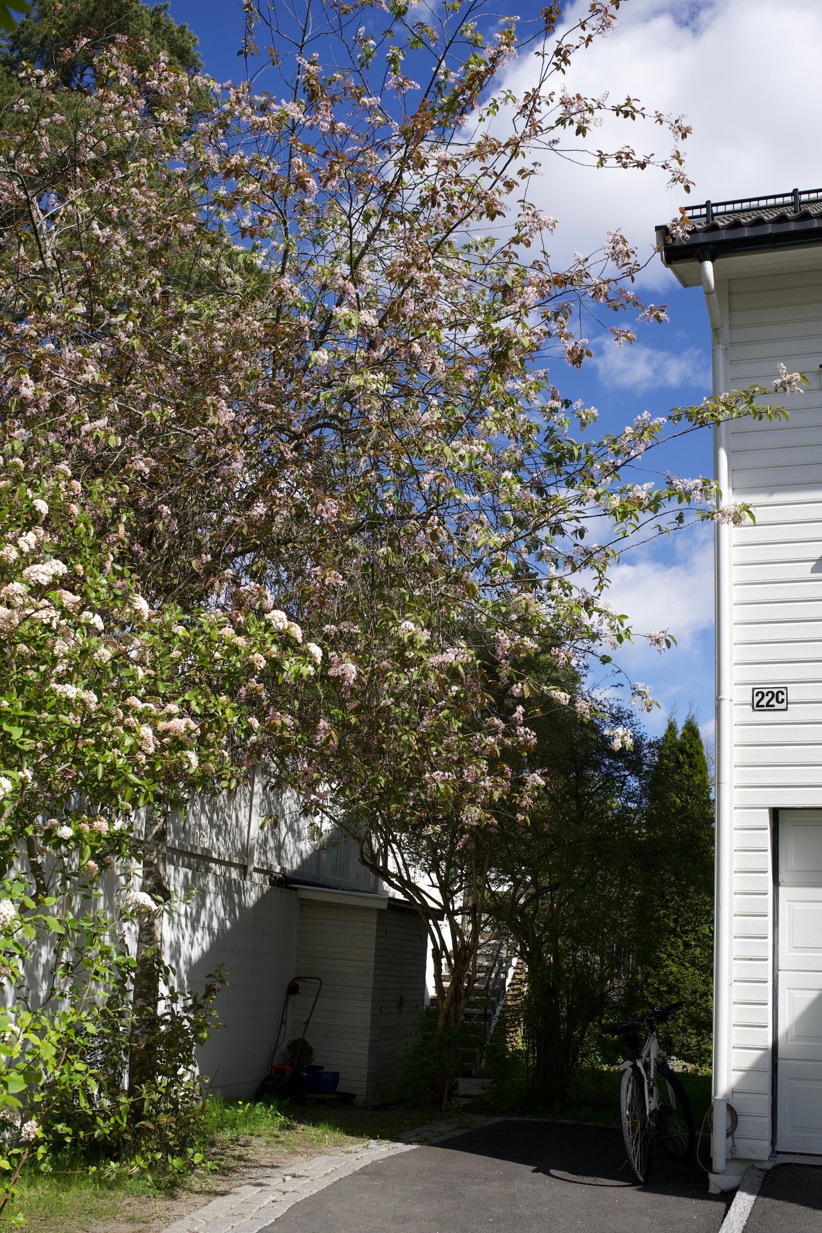Det er ytterligere en biloppstillingsplass ved siden av garasjen. Galleribilde