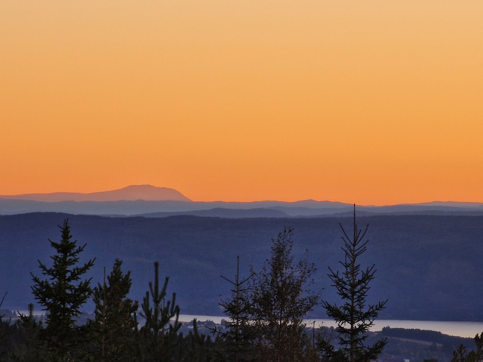 (selgers private bilde) Galleribilde