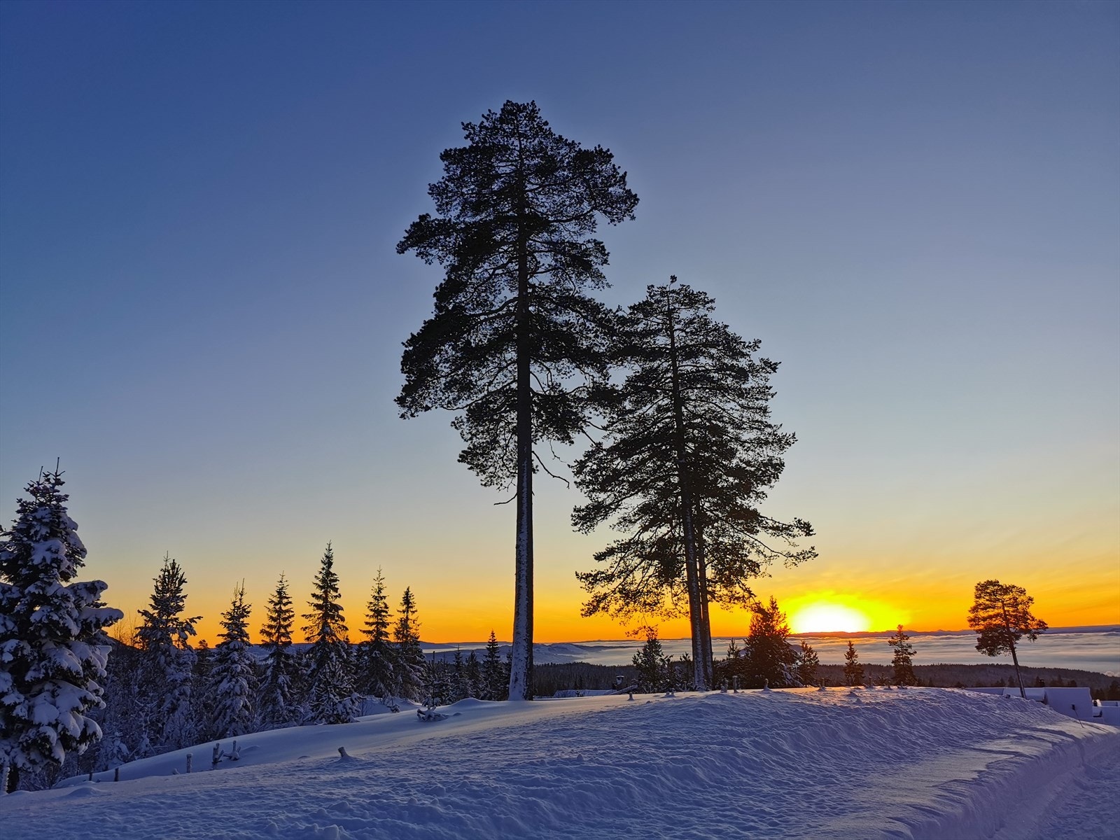 (selgers private bilde) Galleribilde