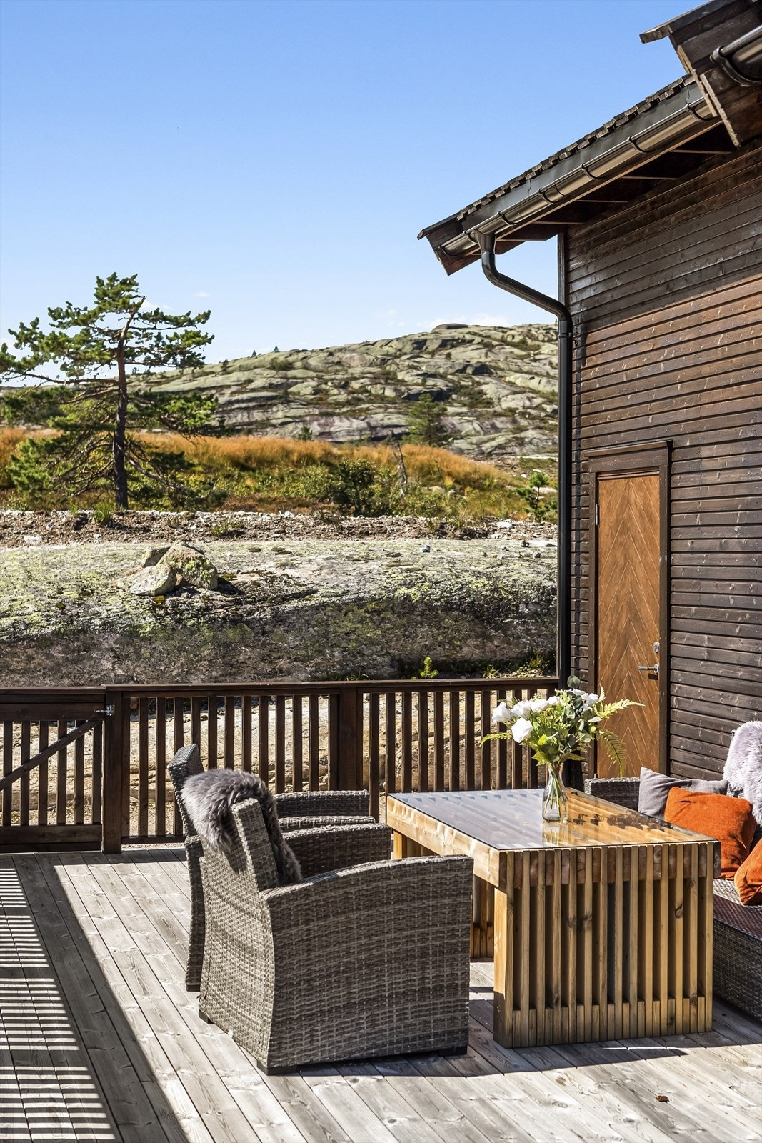 Rett ut i flott natur! Galleribilde