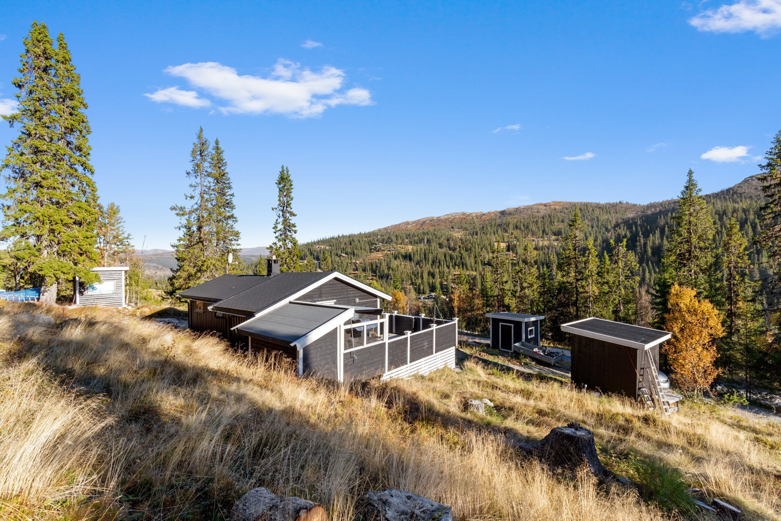 Hytta ligger fint til på en skrånet tomt med utsikt. Galleribilde
