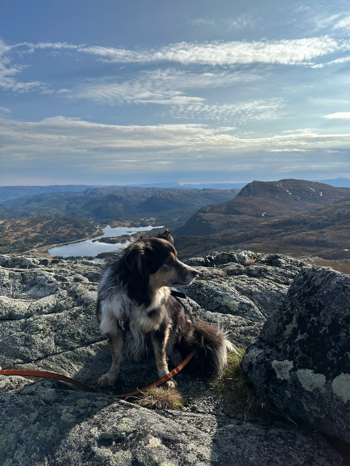 Bergshammeren Galleribilde