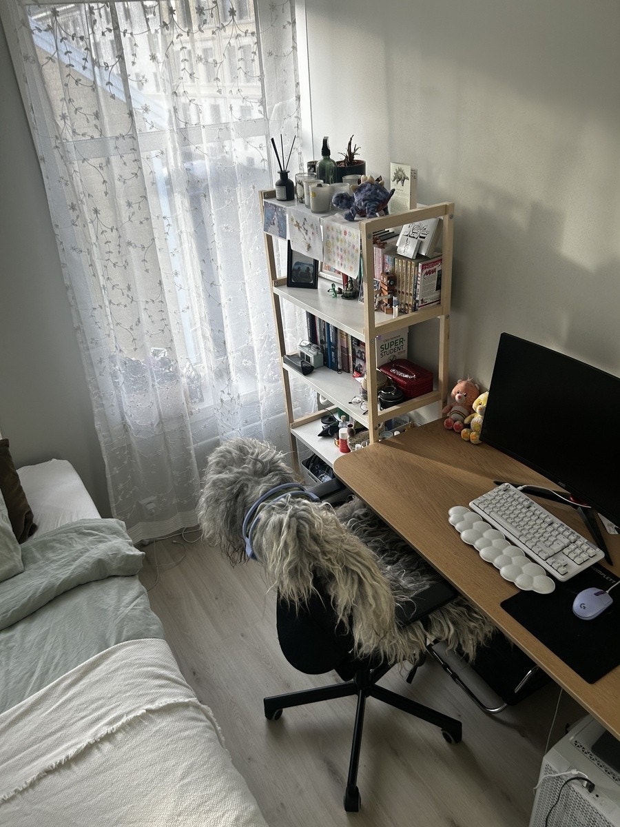 Soverom Galleribilde