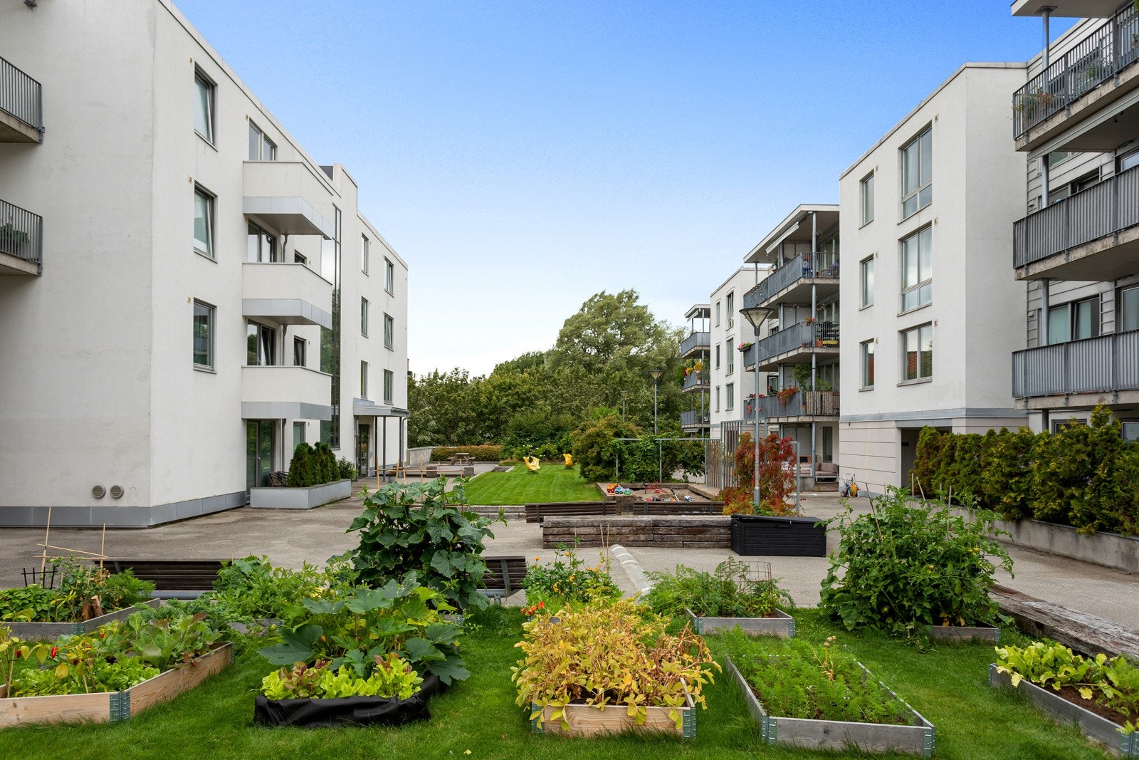 (arkivbilde) Galleribilde