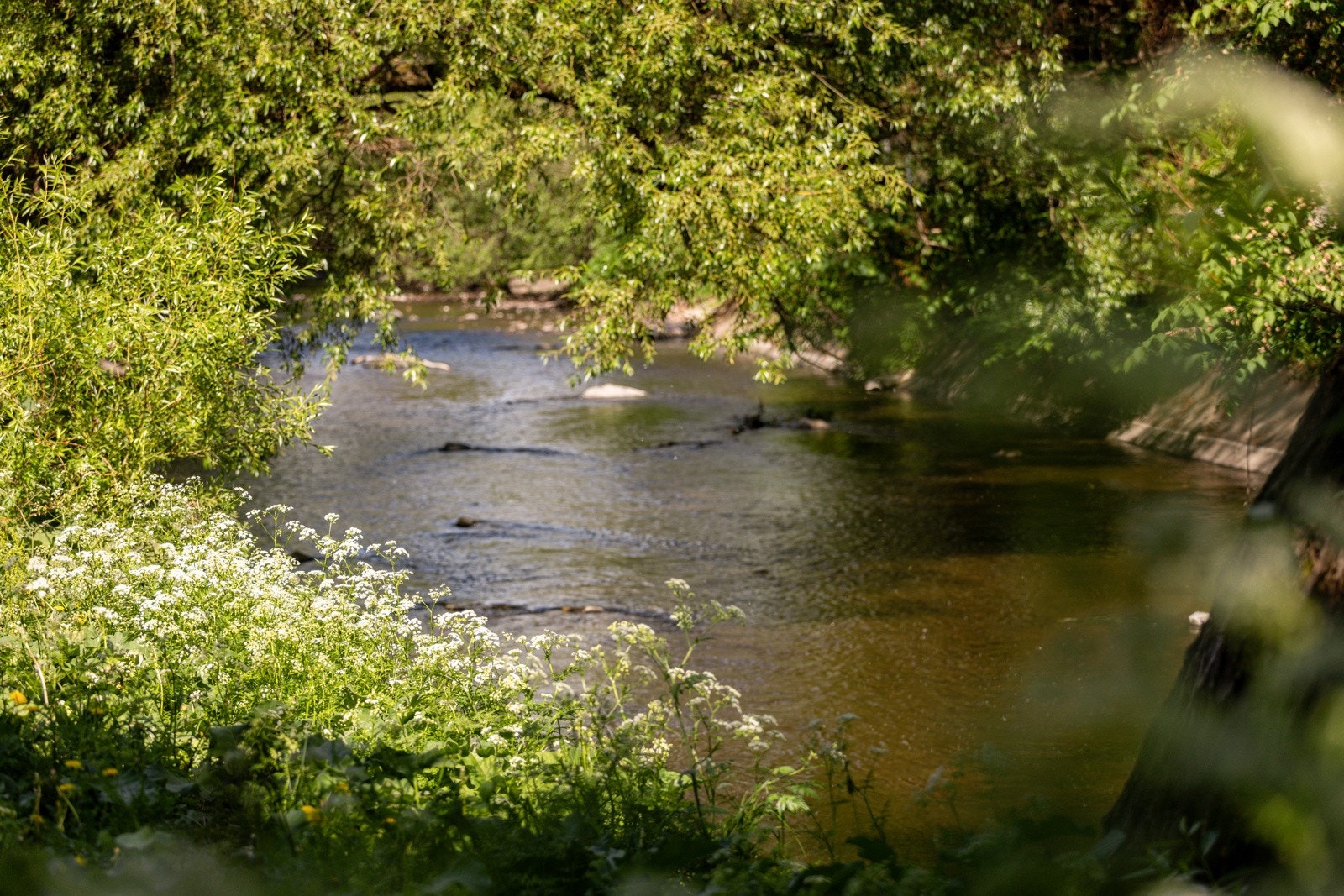 (arkivbilde) Galleribilde