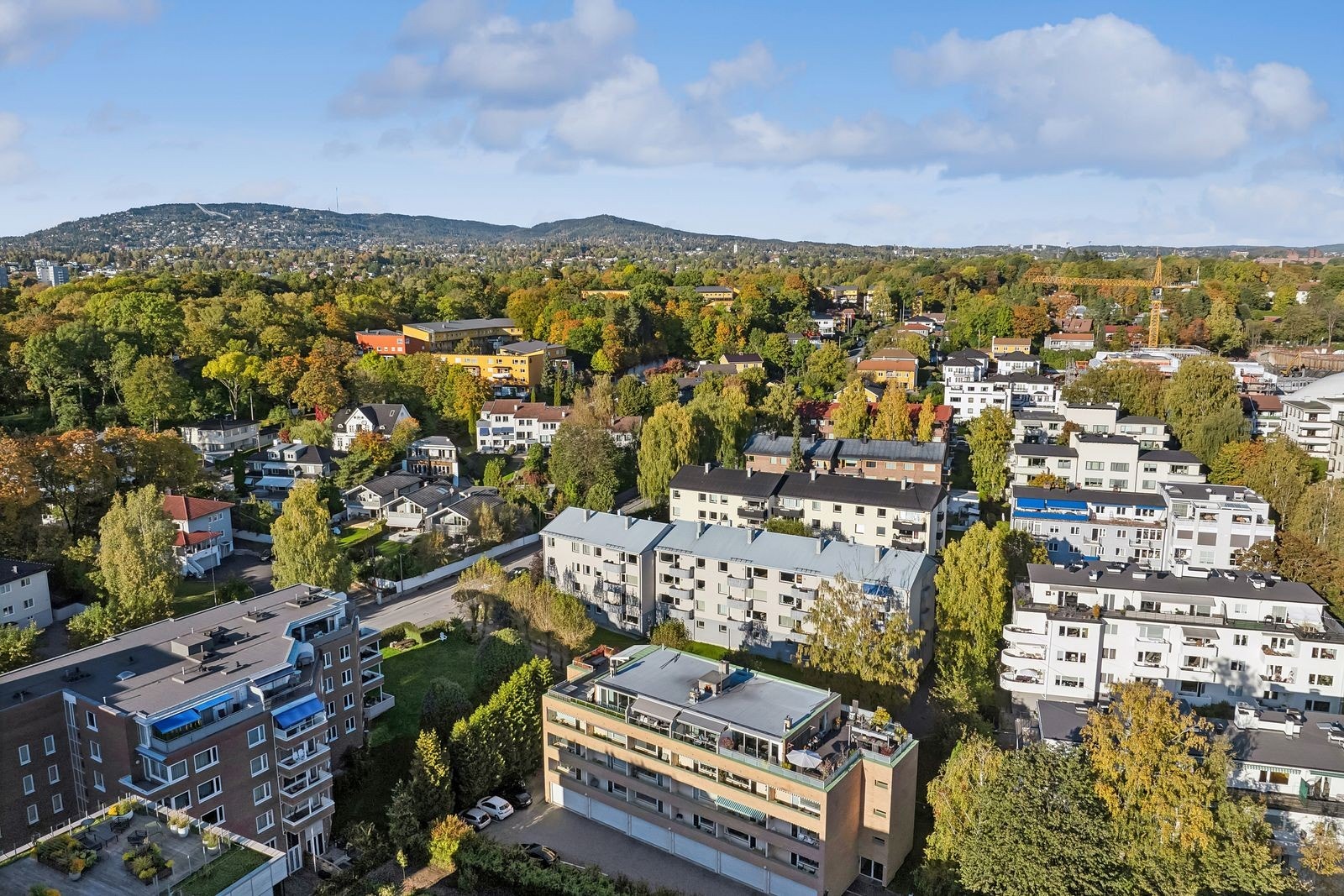Velkommen til hyggelig visning! Galleribilde
