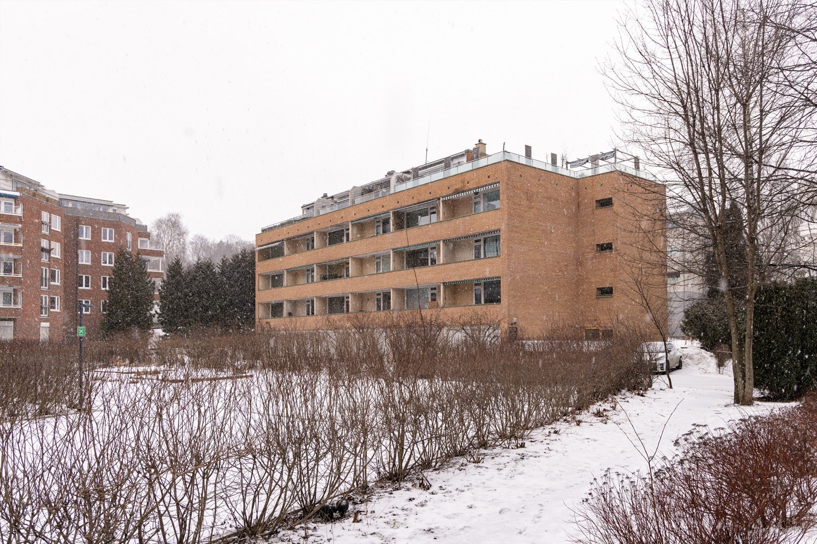 Fasade. Galleribilde